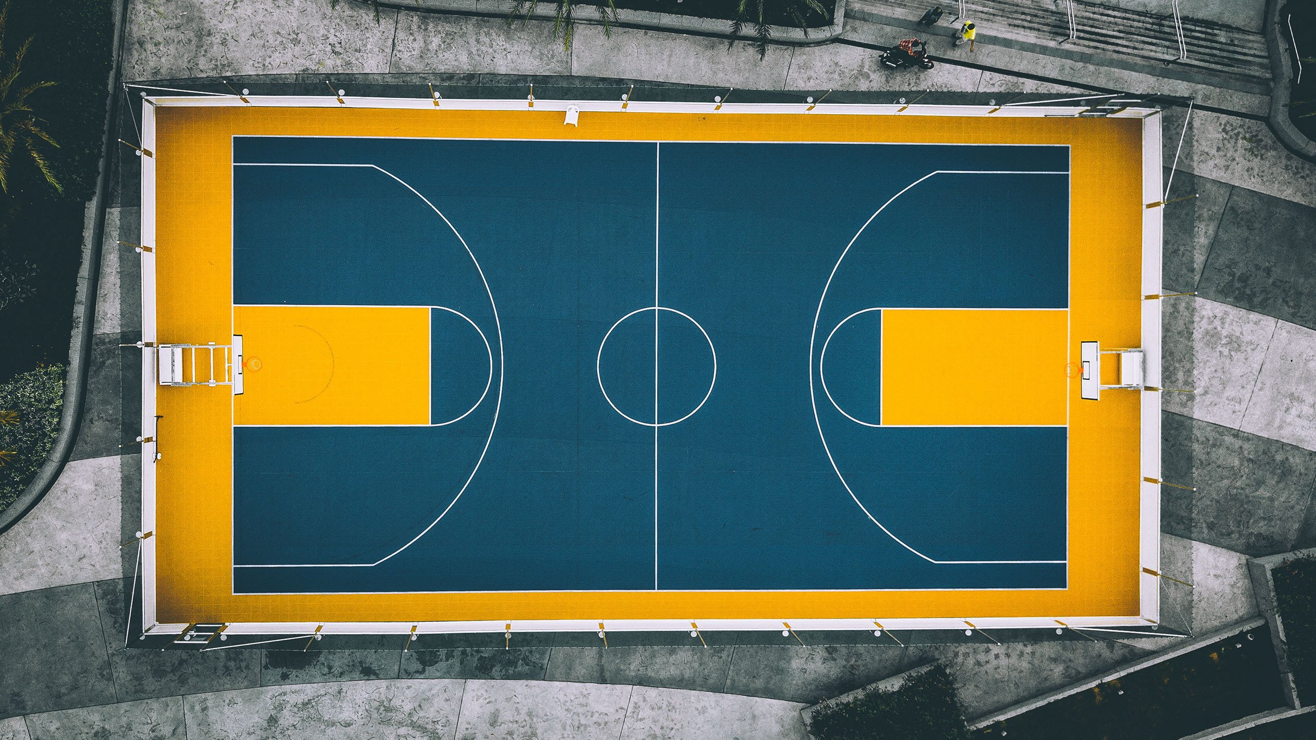 球员赛季体重与体脂管理的科学方法，nba球员体脂率要求
